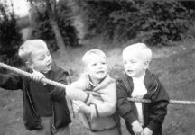 Drei Jungen auf der Obstplantage<br>in Sinthern