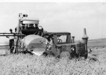 Getreideernte in Manstedten