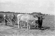 Kriegsgefangene in Sinthern