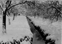 Garten und Bach der &Ouml;lm&uuml;hle im Winter 1954