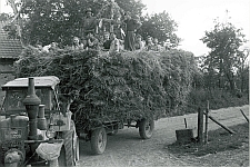 Sinthern &ndash; Erntedank um 1950