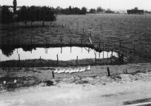 Sinthern - An der Wasserkaul 1969
